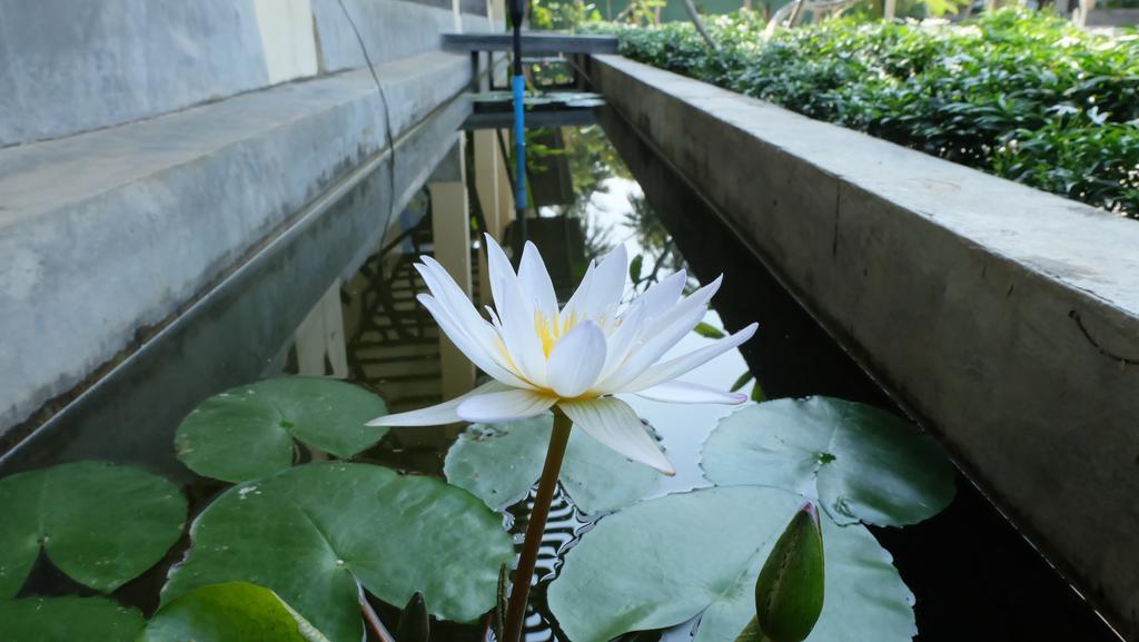 Lullaby Boutique Resort Thap Sakae Exterior foto